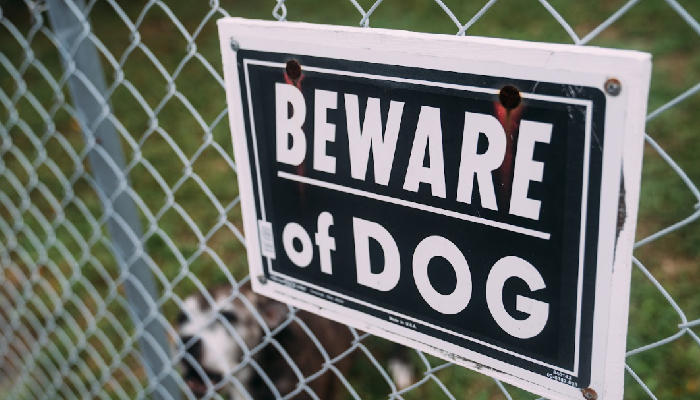 Dog & Animal Bites